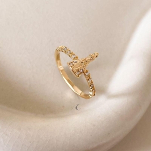 ANEL FO NS APARECIDA CRAVEJ