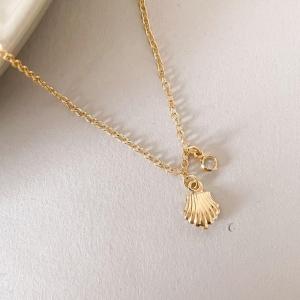 TNZ FO CONCHA ZIRC PEND CORR CADEADO 23CM + ALONG