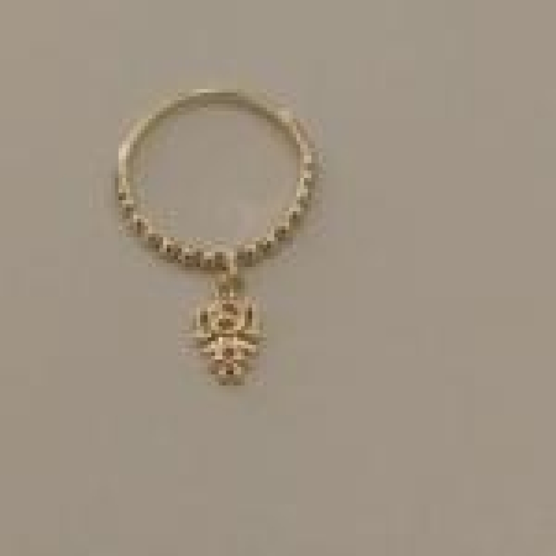 AN FO MENINA ZIRC ROSA