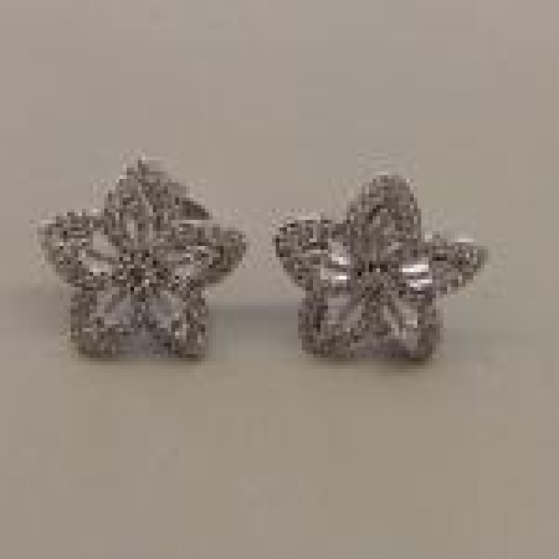 BR RB FLOR CRAV 5 ZIRC 5 PETALAS