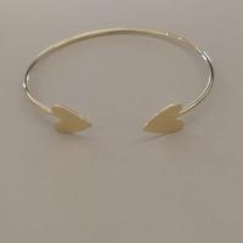 BRACELETE FO LISO CORA DUPLO  CHAPA